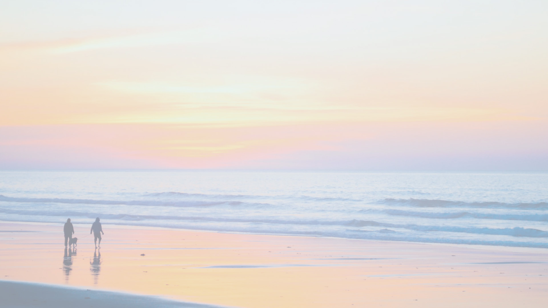 Introducing Cordova Grove